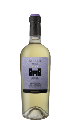 Mater 2024 - vin blanc italien (Basilicate) Mater 2024 - vin blanc italien (Basilicate)