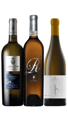 Pack - Sélection d'exception blancs Pack - Sélection d'exception blancs