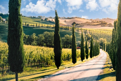 Découvrez la région des Marches, région de laquelle vient une partie des vins disponibles chez Italvin