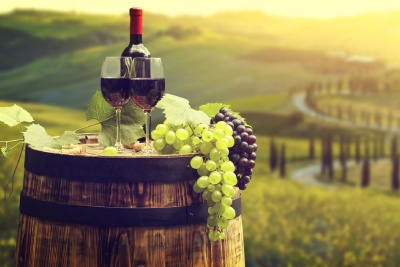 Italvin vous présente tous les vins de Toscane