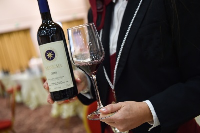 Italvin vous explique toute l'histoire de l'appellation Bolgheri Sassicaia DOC