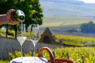 Italvin vous présente les caractéristiques des vins pétillants italiens