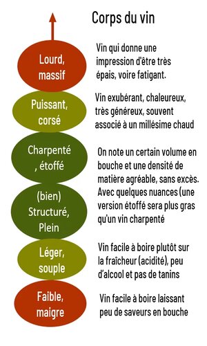 Le corps du vin