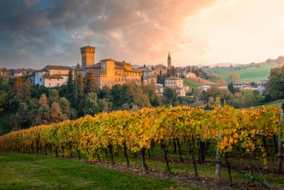 Découvrez les vins de la région d'Emilie-Romagne