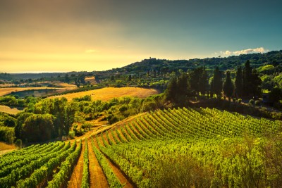 Découvrez les vins de la région de Toscane