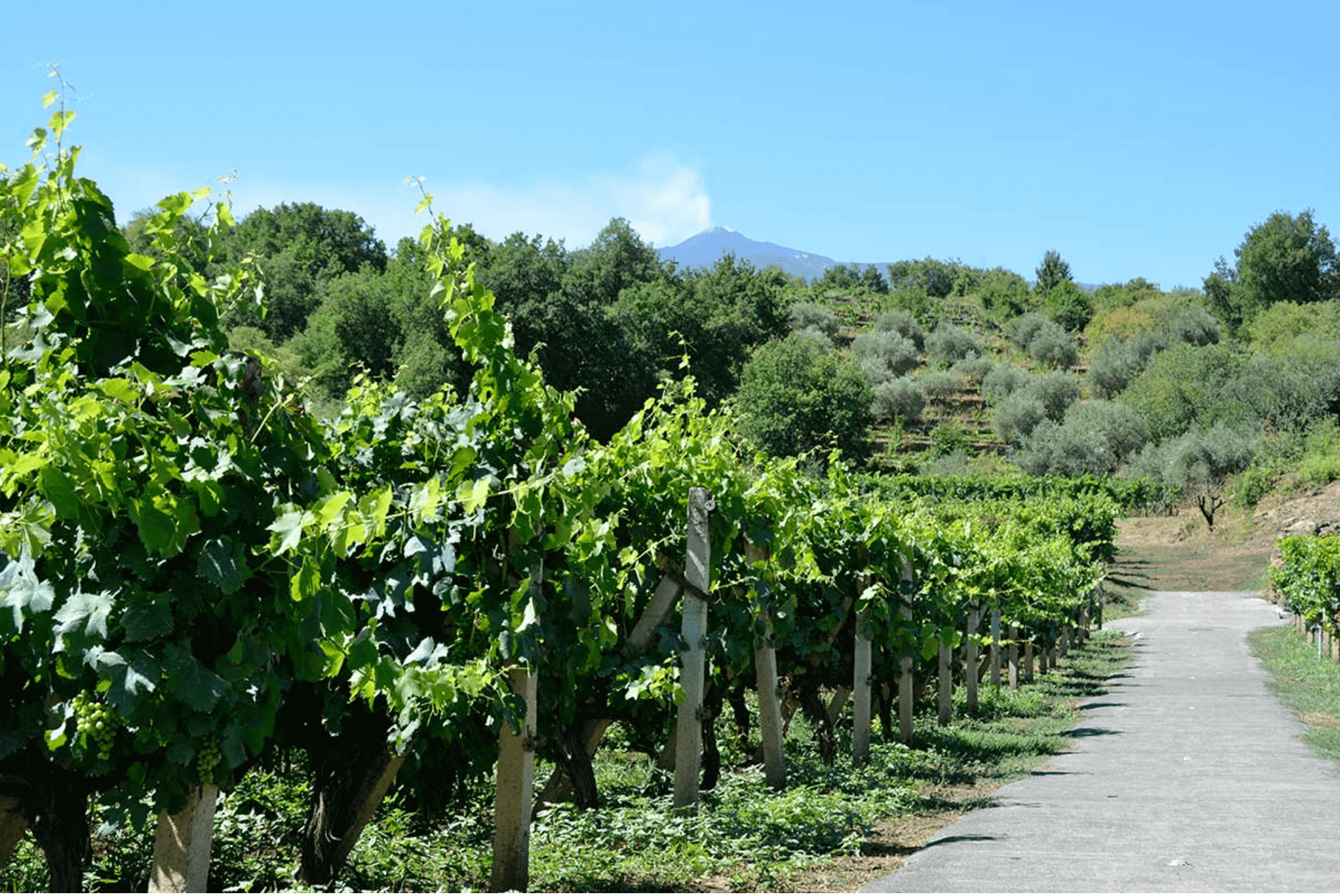 Etna